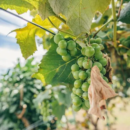 Casa Do Riacho * Nordeste (Azores)