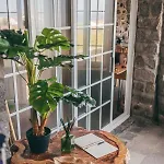 Сasa de vacaciones Casa Do Riacho Nordeste (Azores)