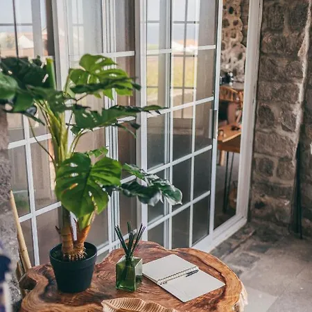 Semesterbostad Casa Do Riacho Nordeste (Azores)