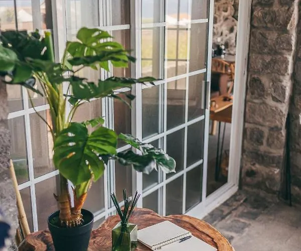 Tatil Evi Casa Do Riacho Nordeste (Azores)