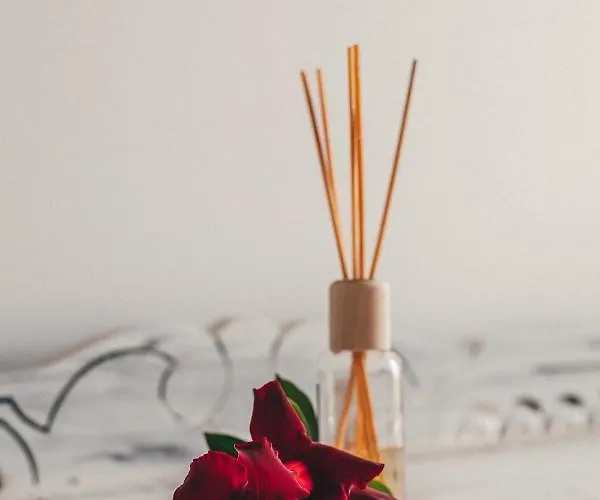 Casa Do Riacho Nordeste (Azores)